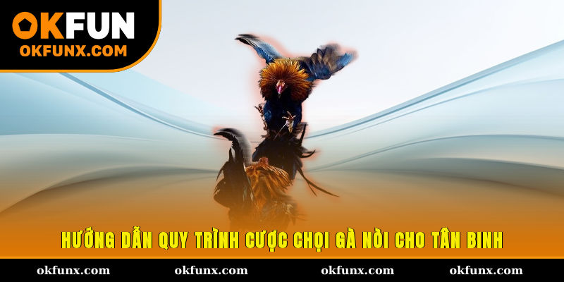 Hướng dẫn quy trình cược chọi gà nòi cho tân binh