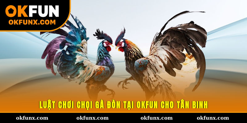 Luật chơi chọi gà đòn tại OKFUN cho tân binh