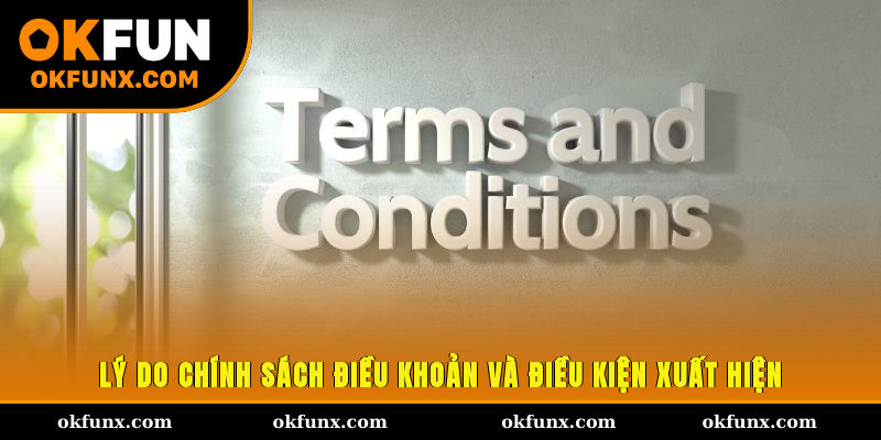 Lý do chính sách điều khoản và điều kiện xuất hiện