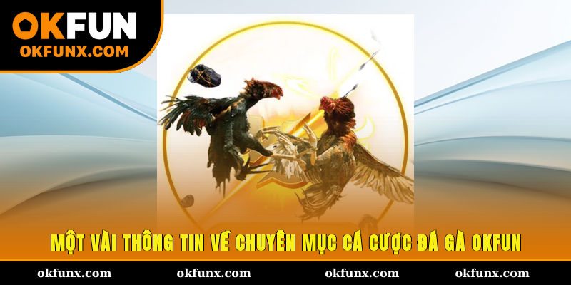 Một vài thông tin về chuyên mục cá cược đá gà OKFUN