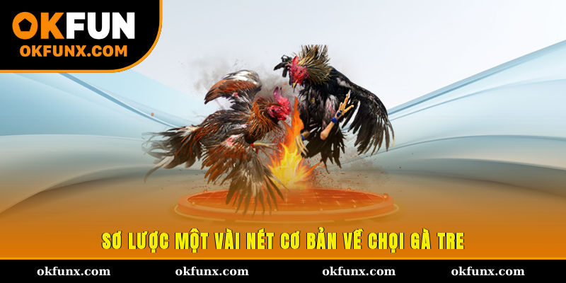 Sơ lược một vài nét cơ bản về chọi gà tre