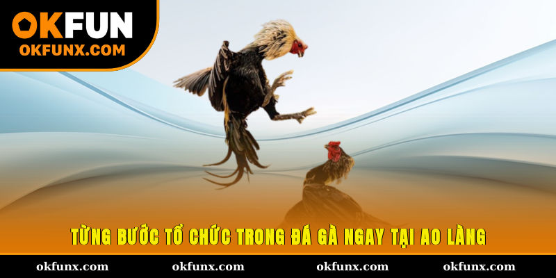 Từng bước tổ chức trong đá gà ngay tại ao làng