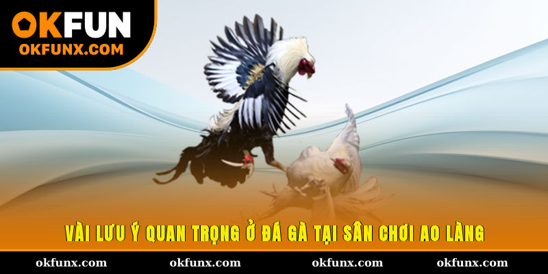 Vài lưu ý quan trọng ở đá gà tại sân chơi ao làng